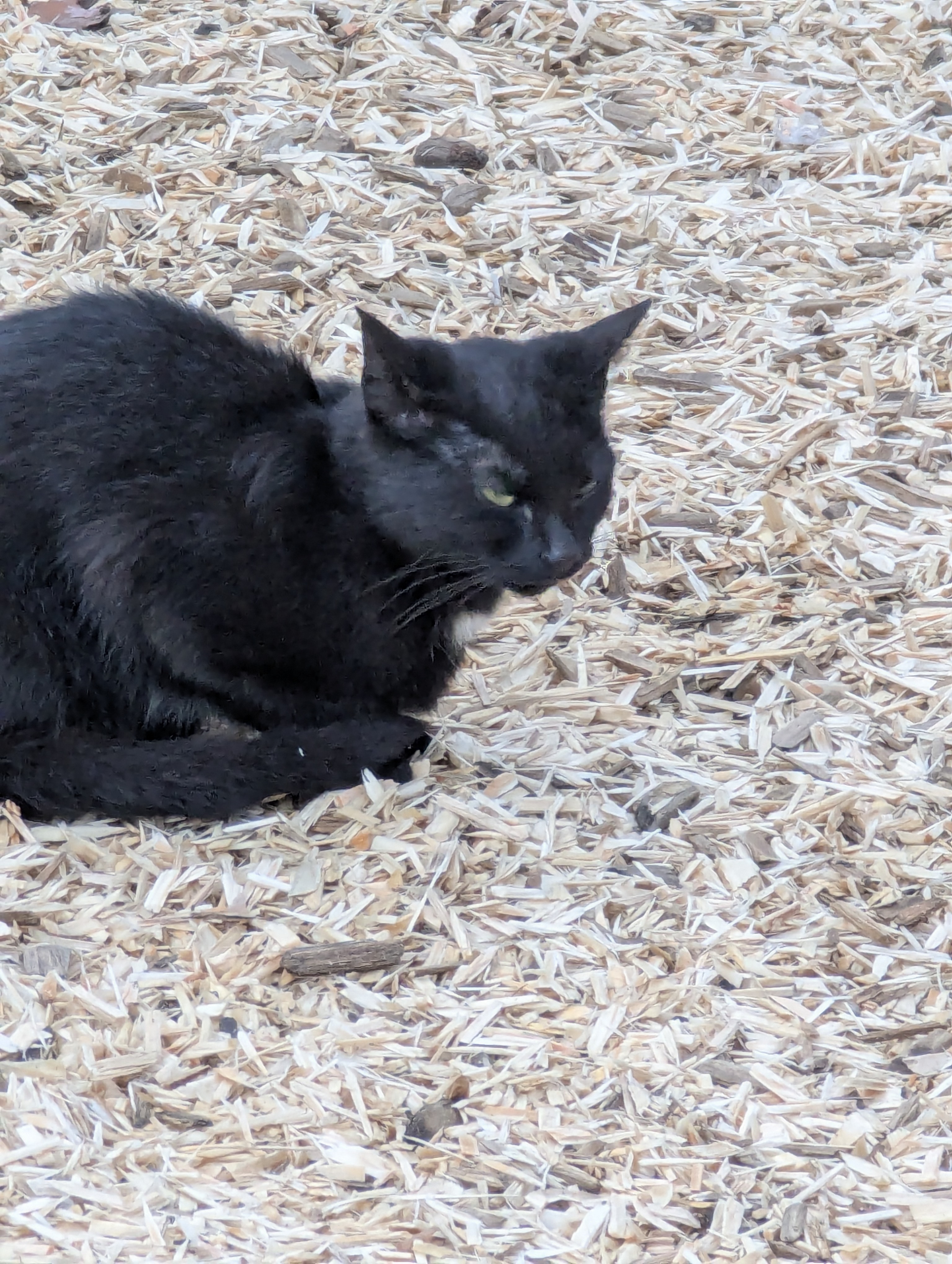 Lyngby, Copenhagen, Barn Party, Denmark